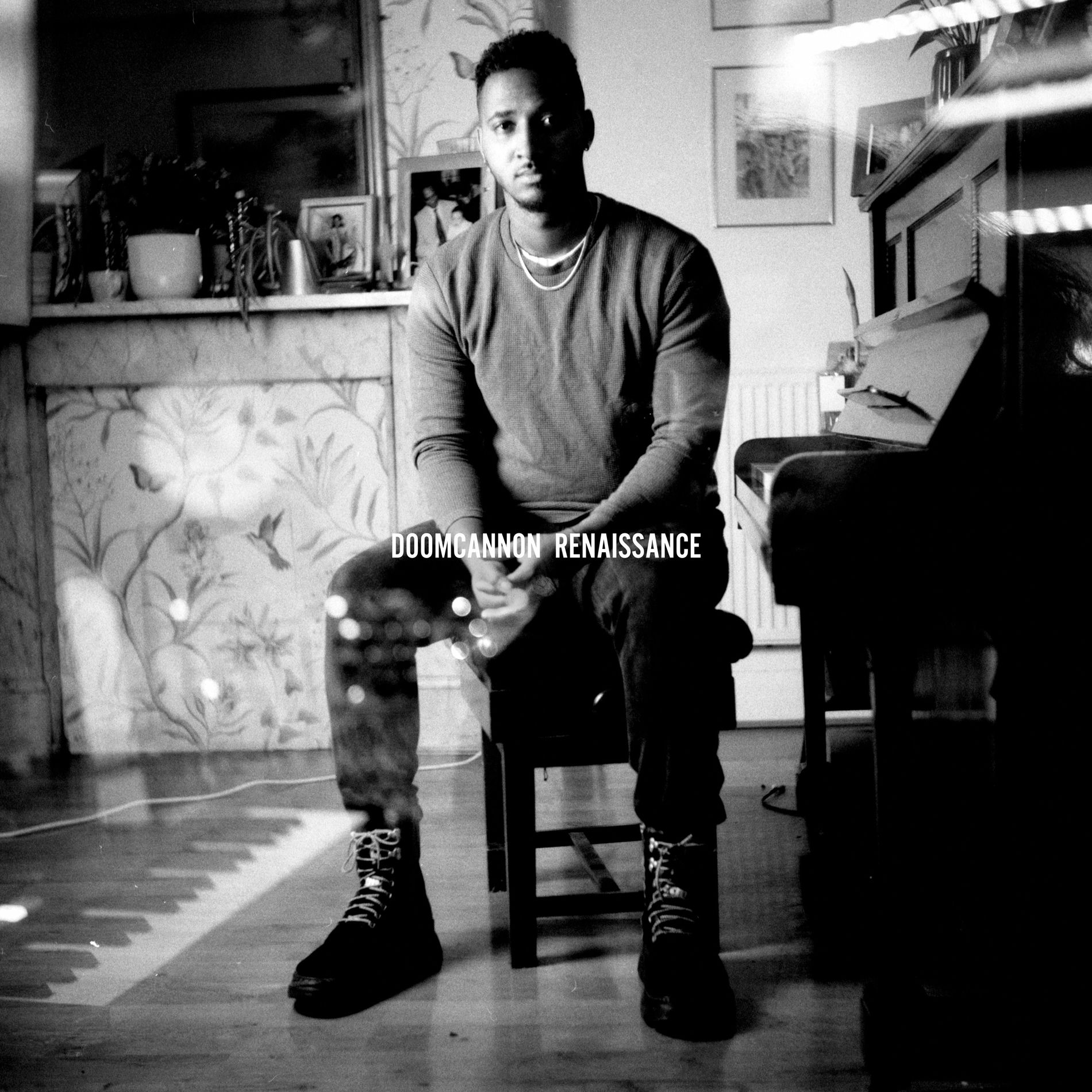 Album cover of Renaissance