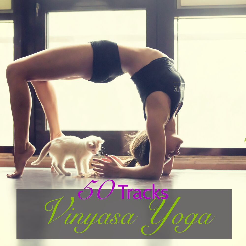 Picture of 50 Vinyasa Yoga Tracks – World & Ambient Music