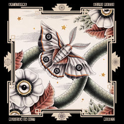 Cover of Acero Rosso by undefined