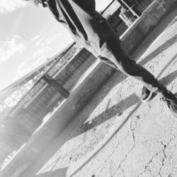 Cover of Walk