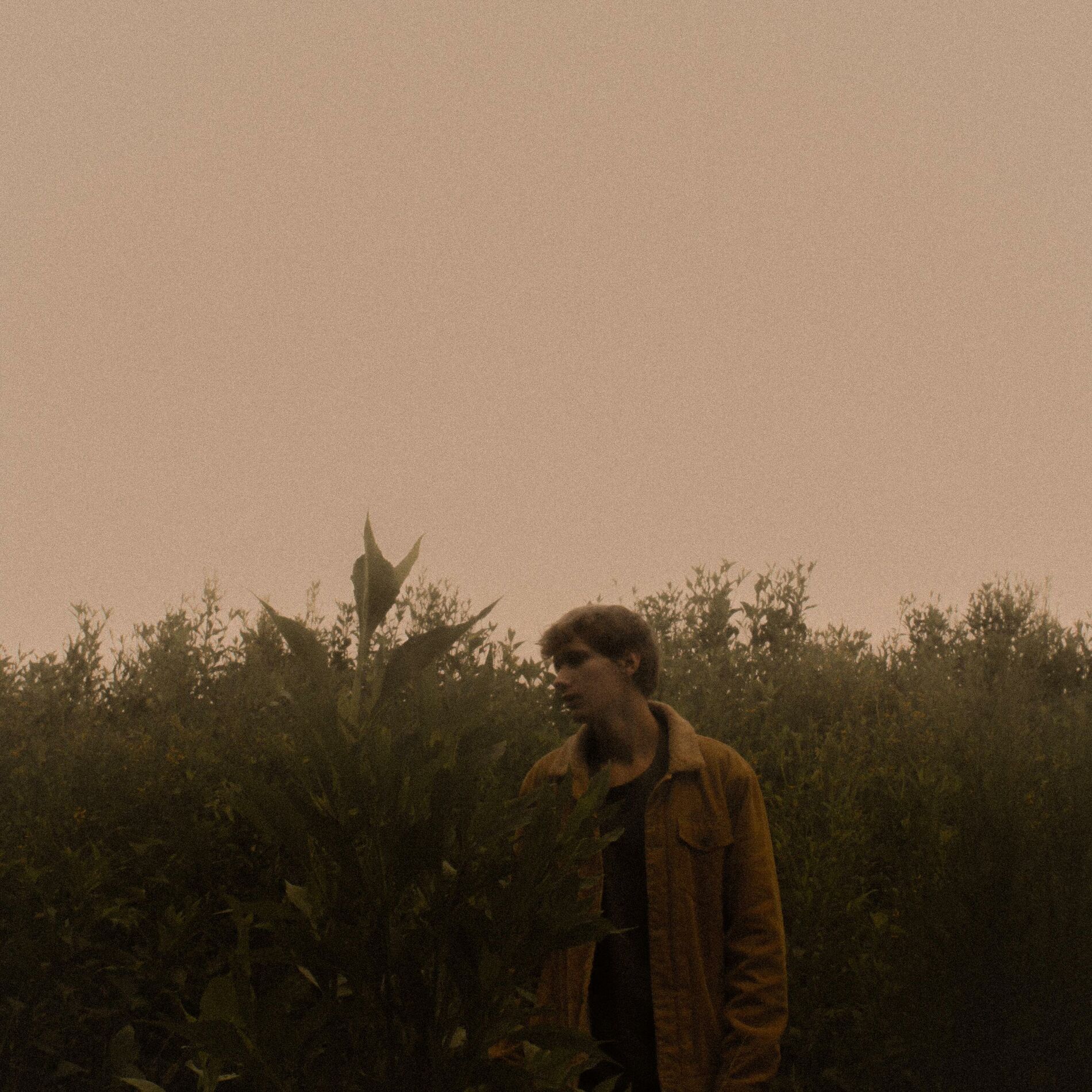 Album cover of Paper Teeth