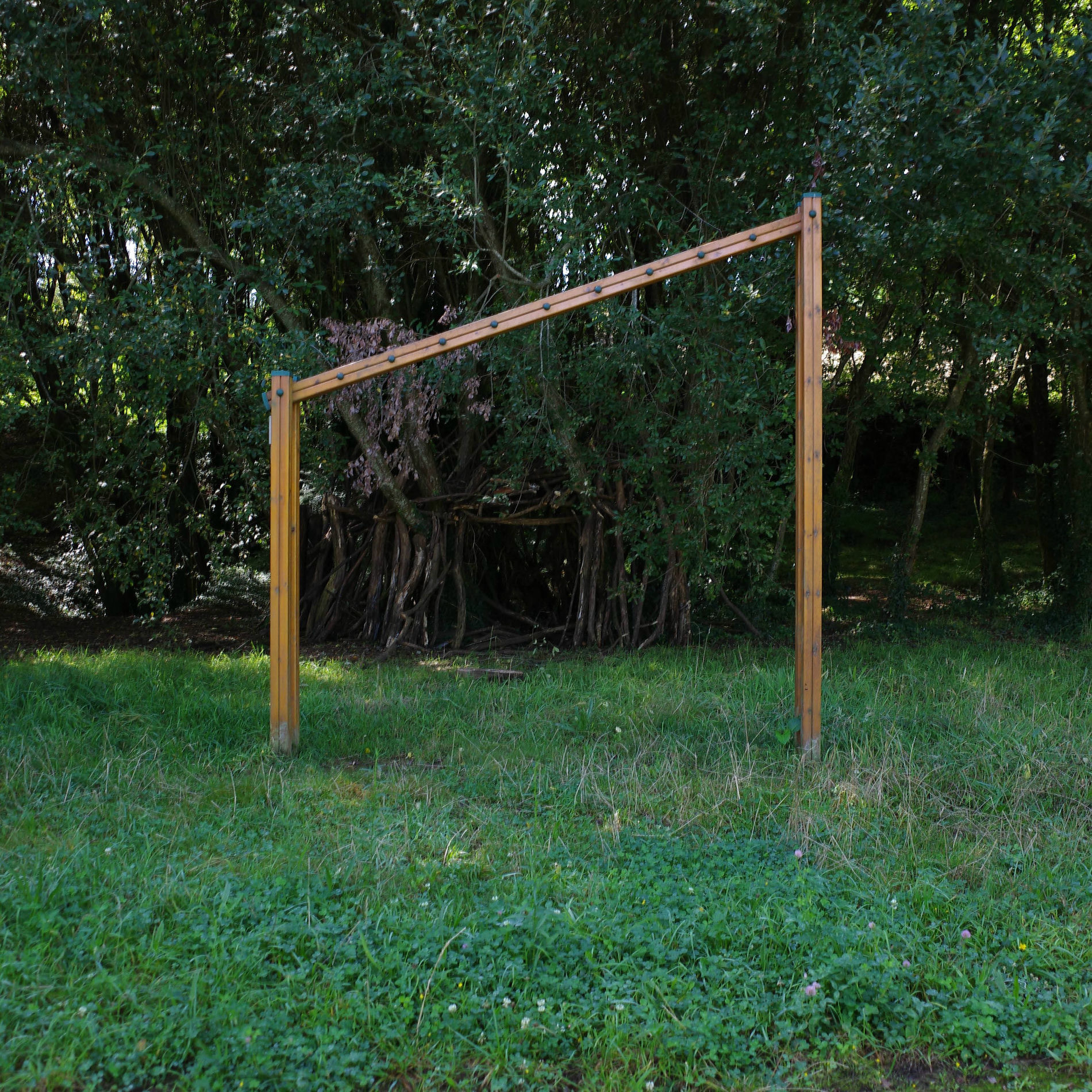 Album cover of Dissolution Grip