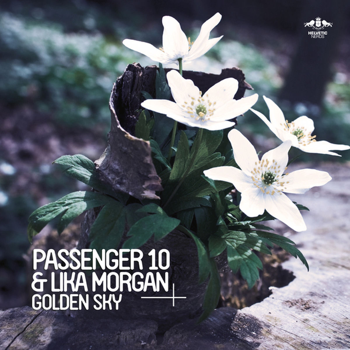 Album cover of Golden Sky : Golden Sky