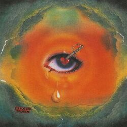 Cover of broken
