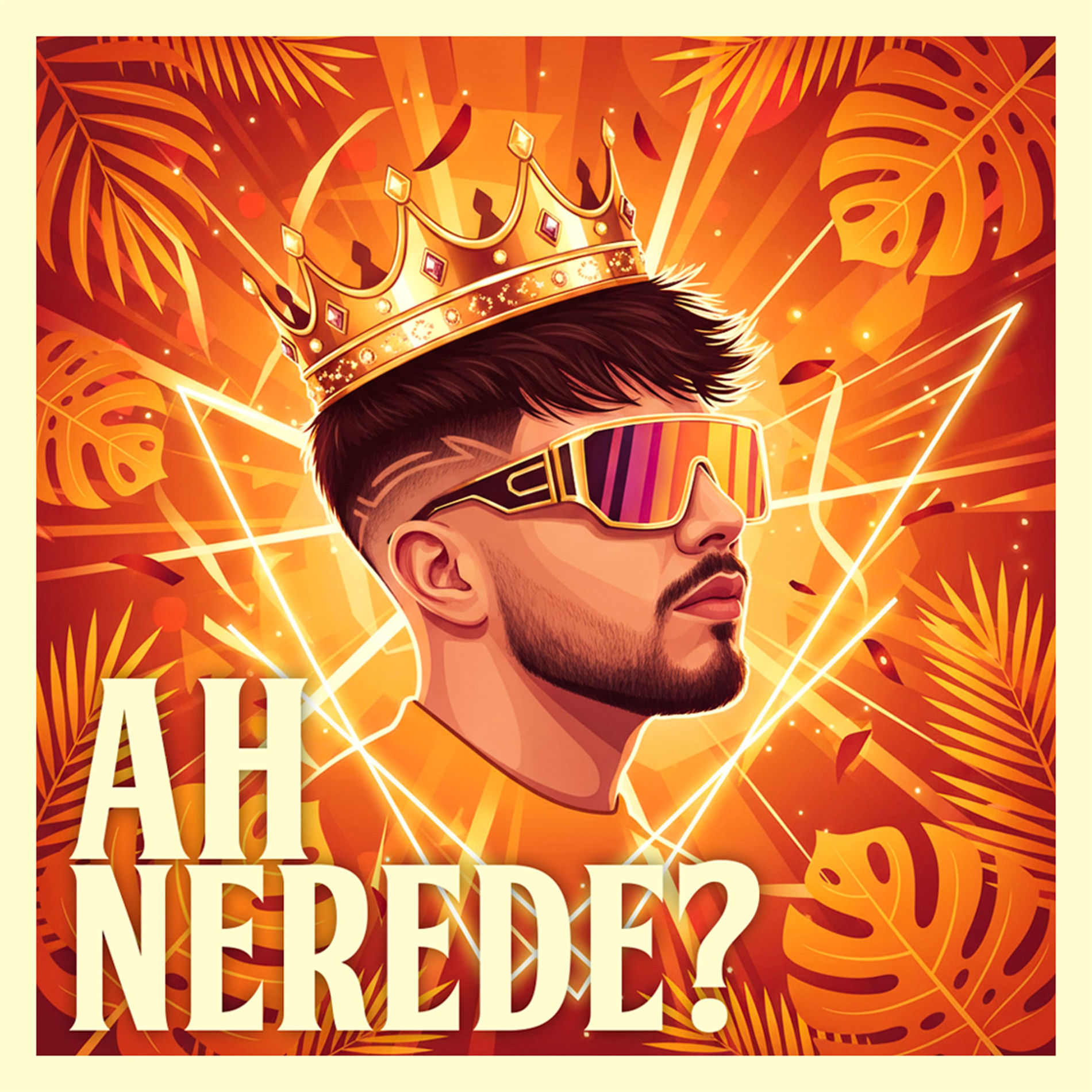 Album cover of Ah Nerede?