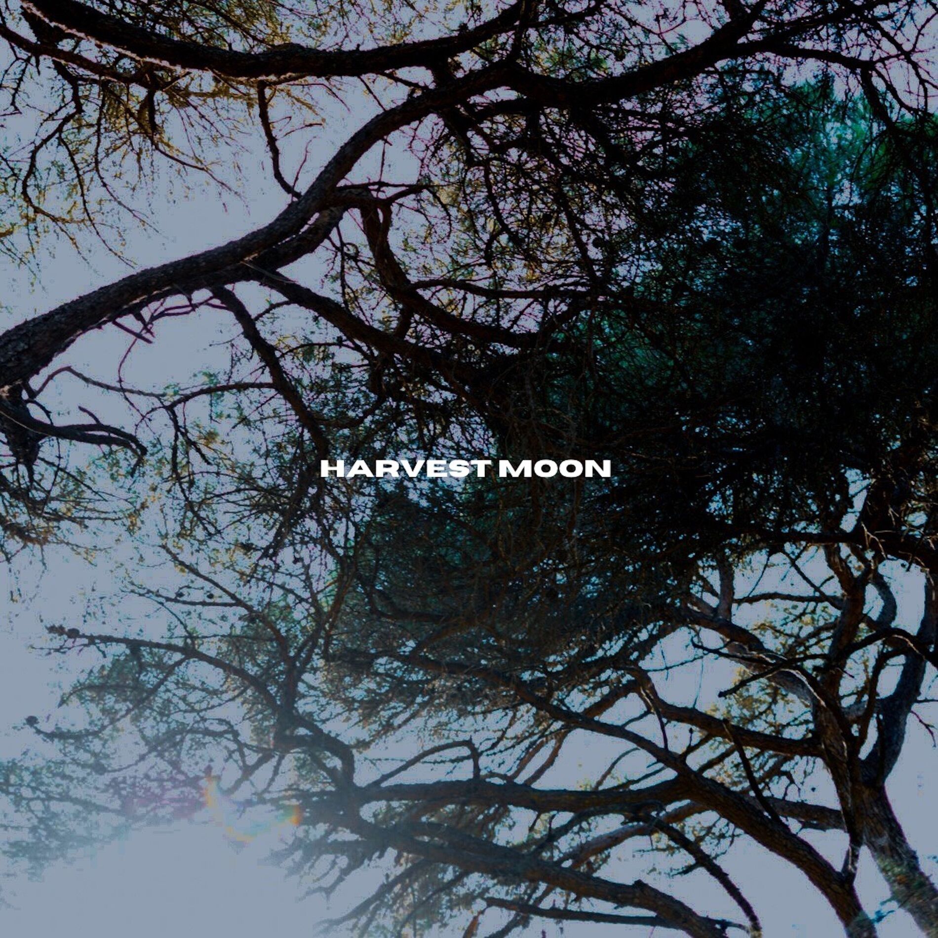 Album cover of Harvest Moon