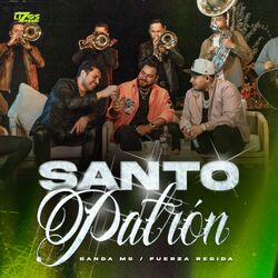 Cover of Santo Patrón
