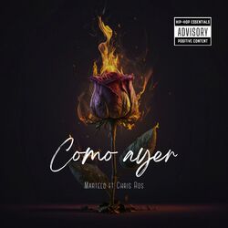 Cover of Como Ayer