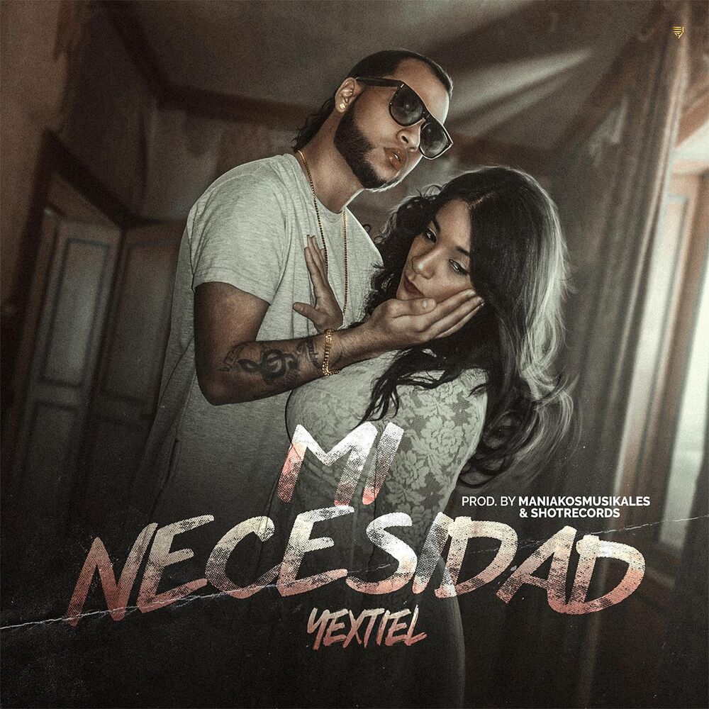 Picture of Mi Necesidad