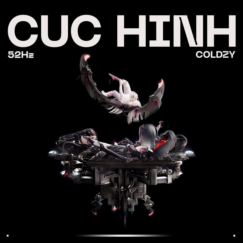 Picture of CUC HINH
