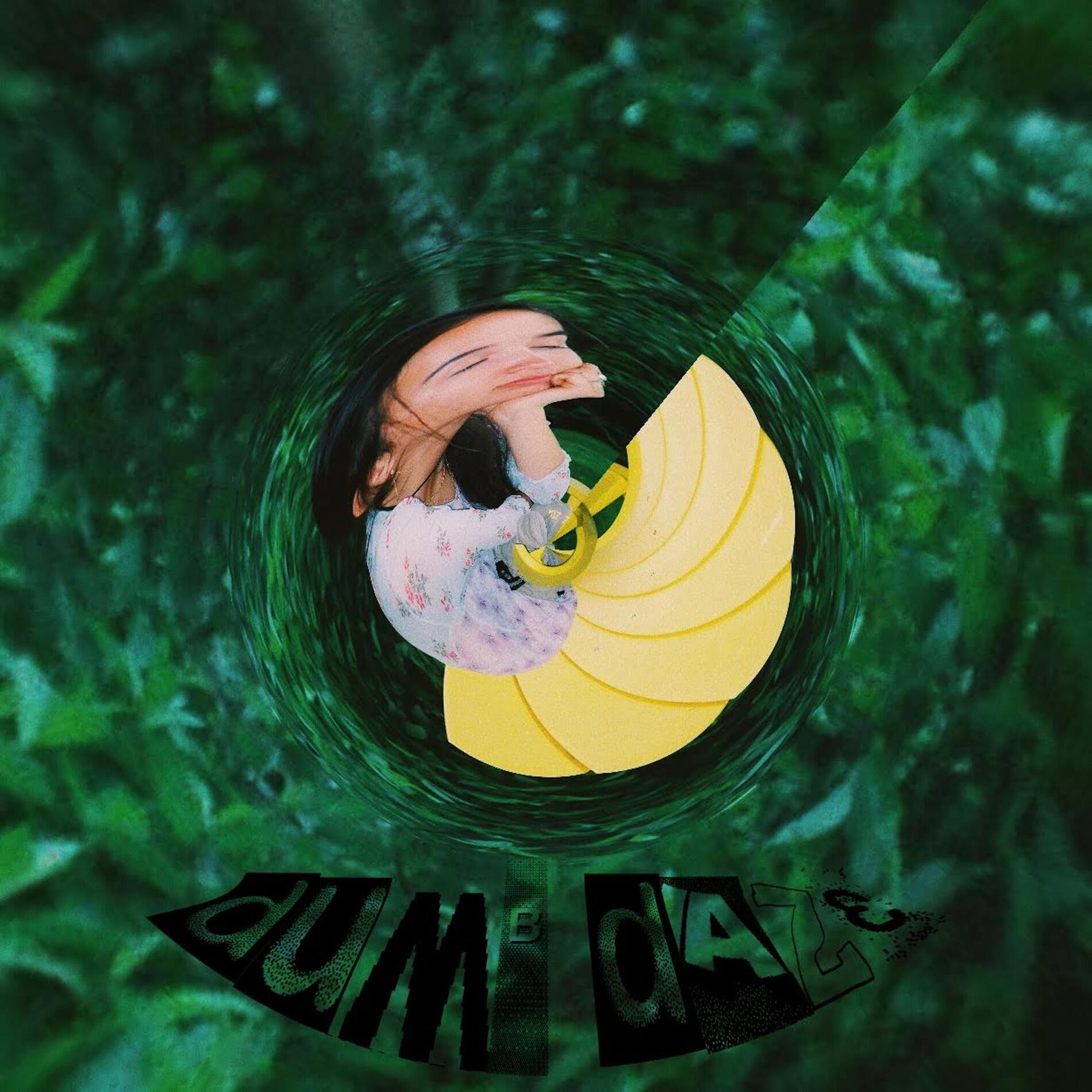 Album cover of Dumb Daze
