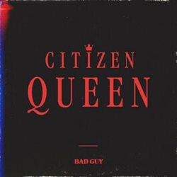 Cover of bad guy