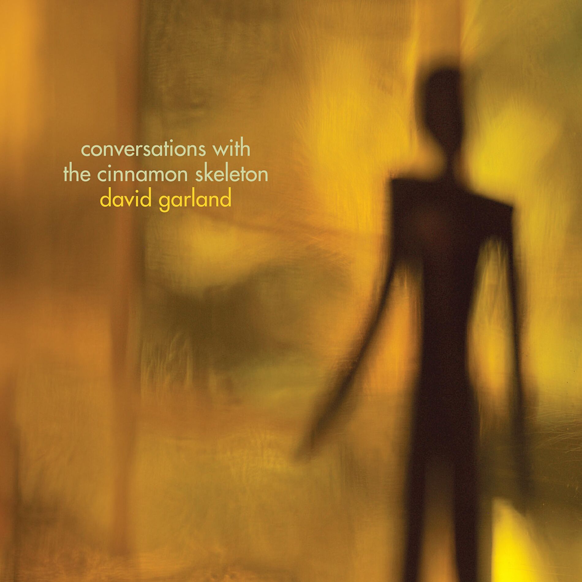Album cover of Conversations With the Cinnamon Skeleton