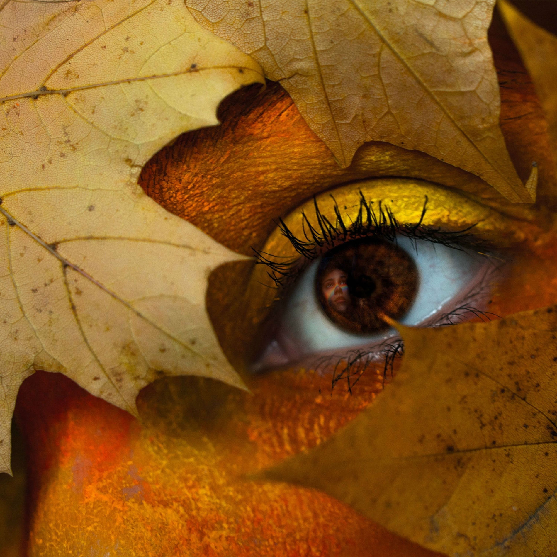 Album cover of À Primeira Vista (Remix)