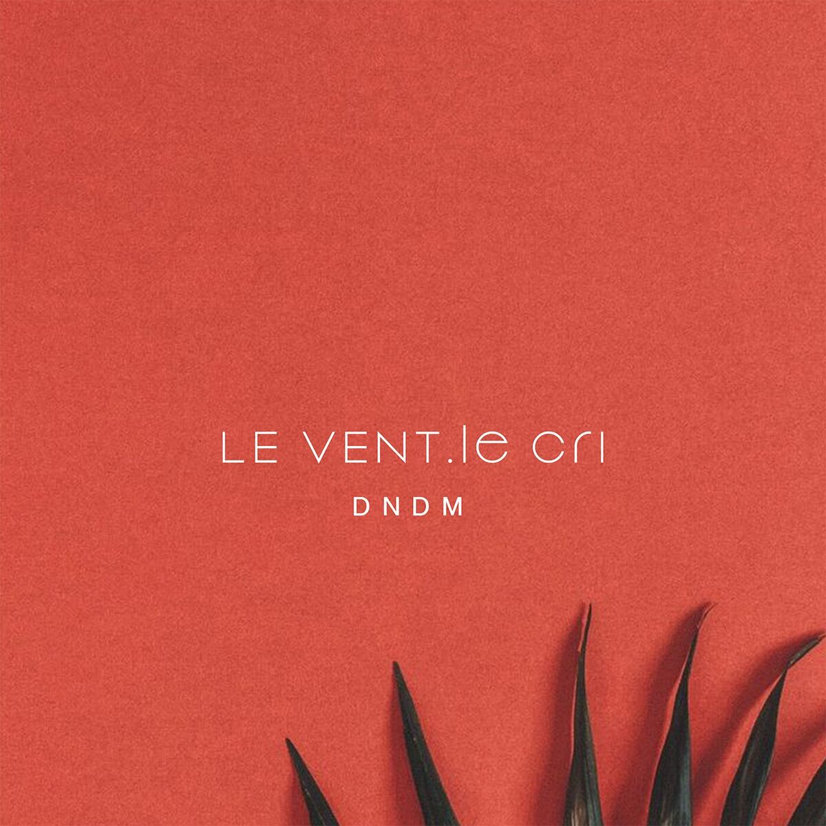 Album cover of Le Vent, le cri