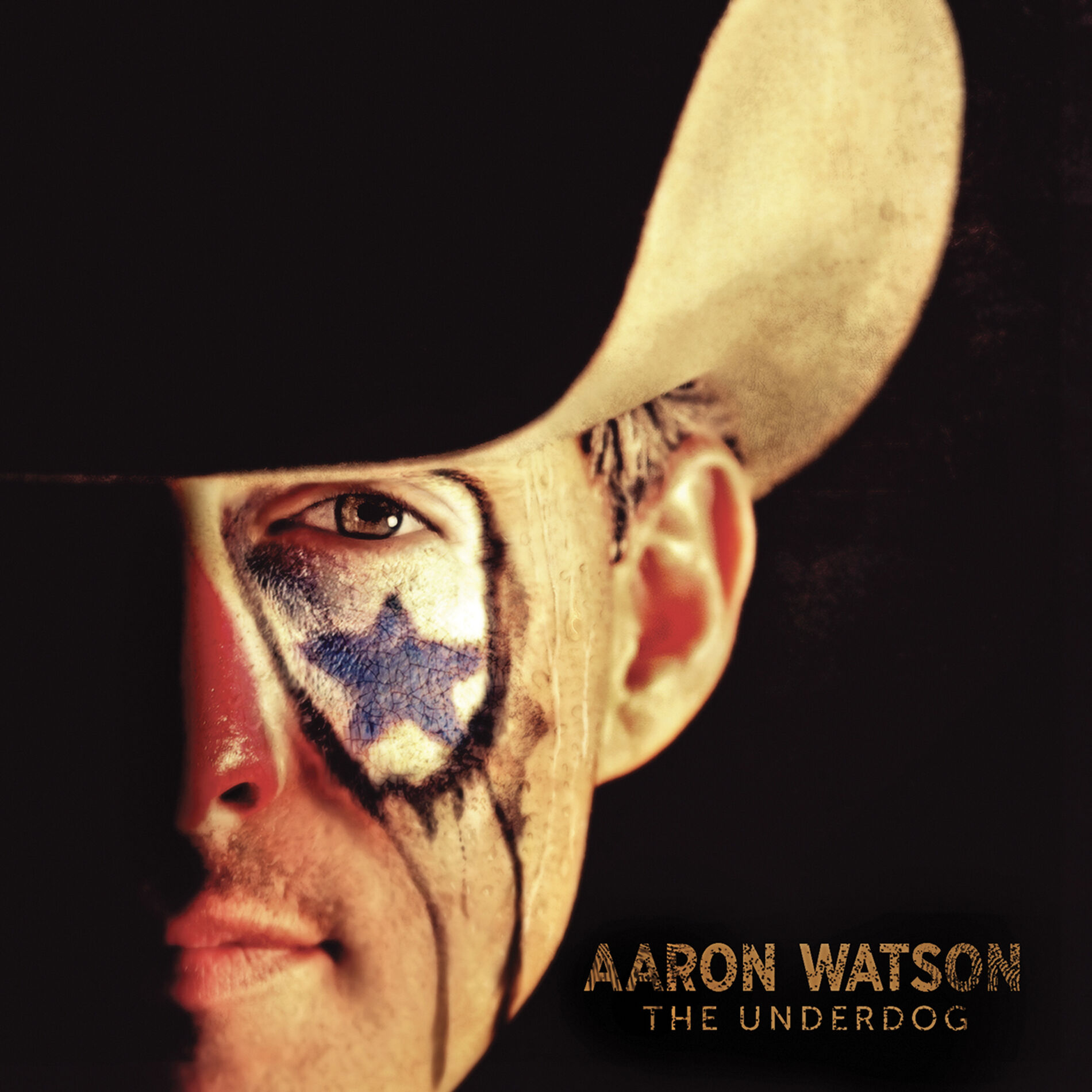 Album cover of The Underdog