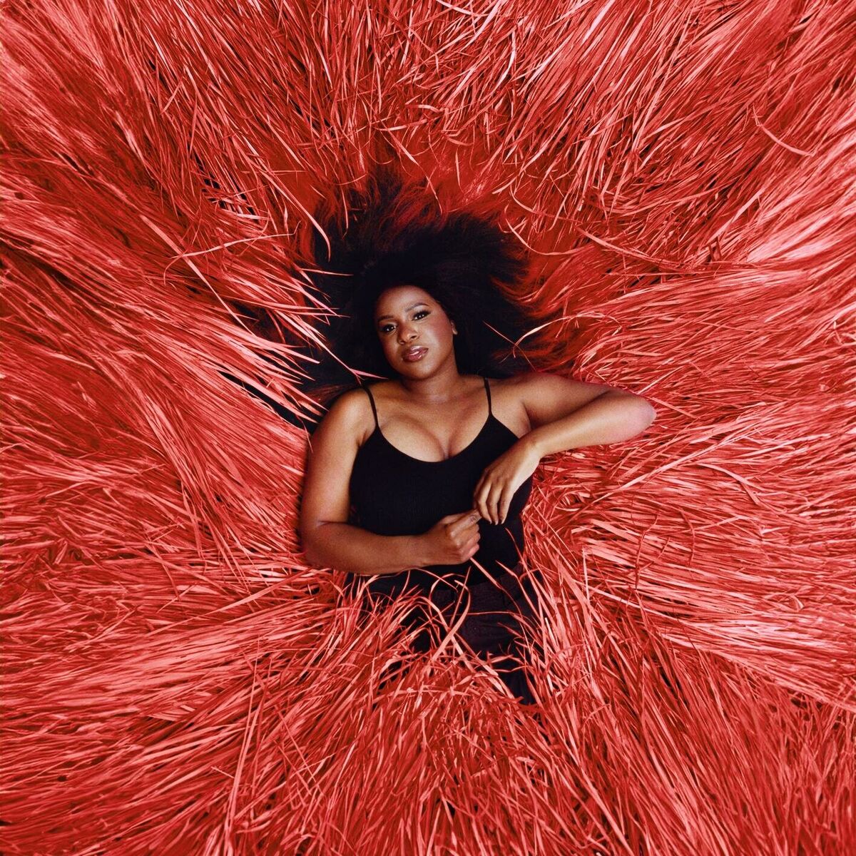 Album cover of Wildflowers
