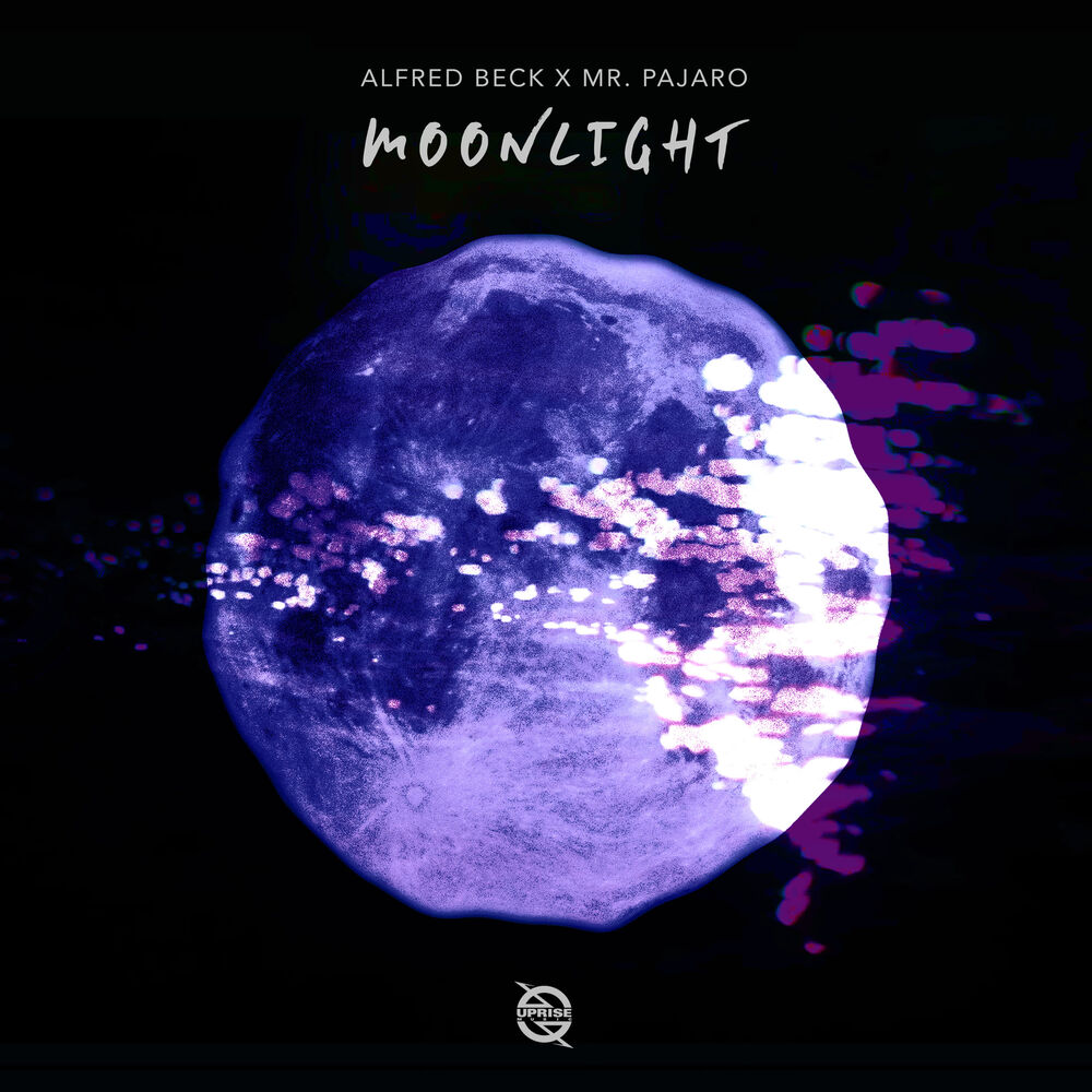 Picture of Moonlight