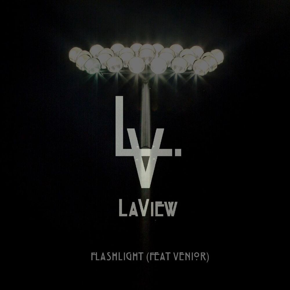Picture of Flashlight (feat. Venior)
