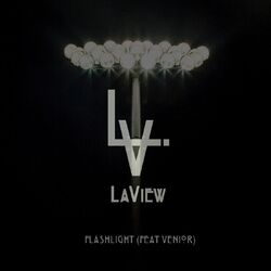 Cover of Flashlight (feat. Venior)