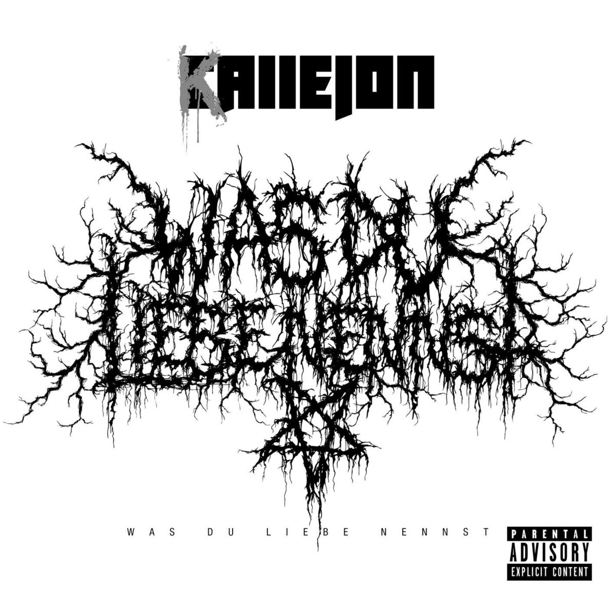 Album cover of Was Du Liebe nennst