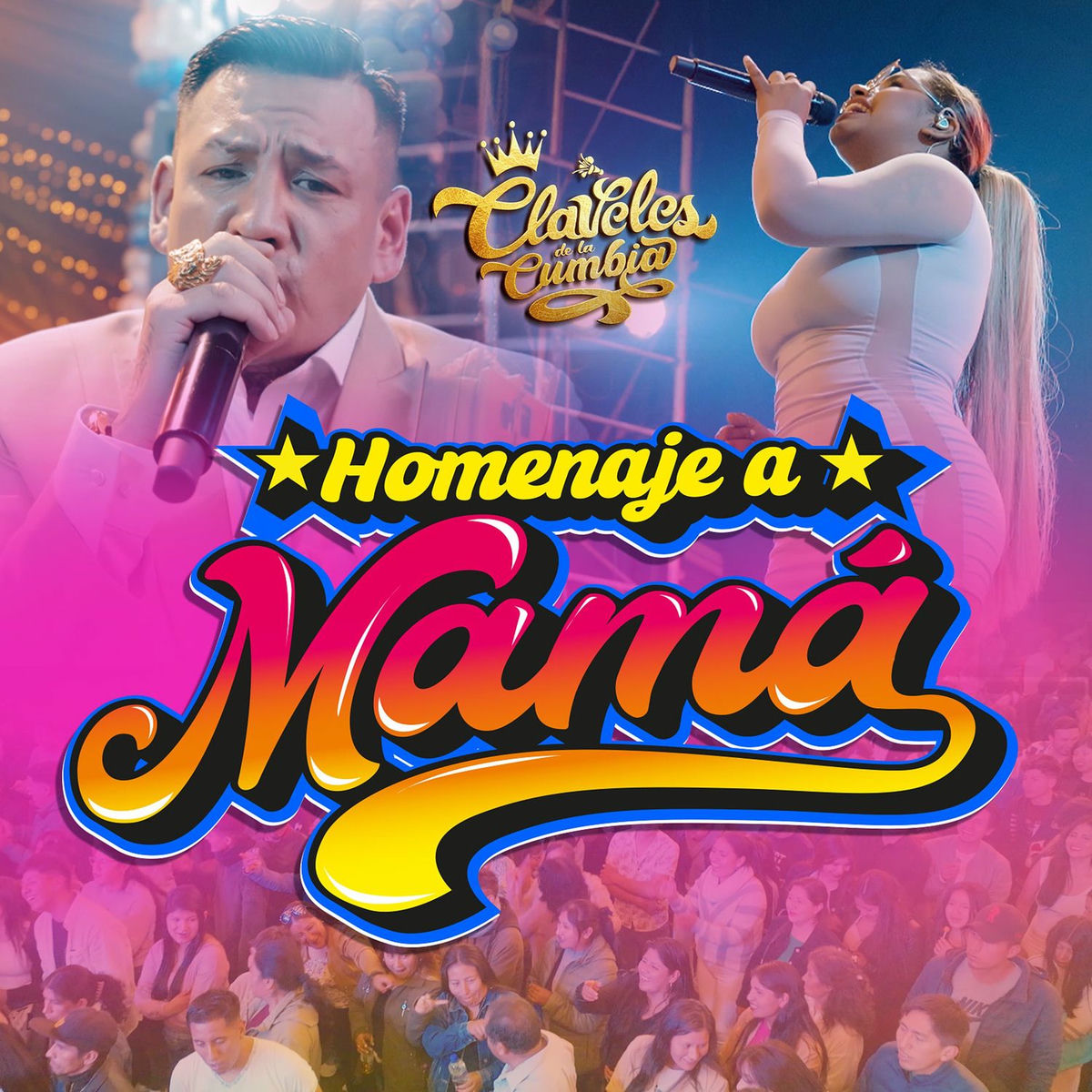 Album cover of Homenaje a Mamá: Amor Eterno / Madre / Amor, Amor