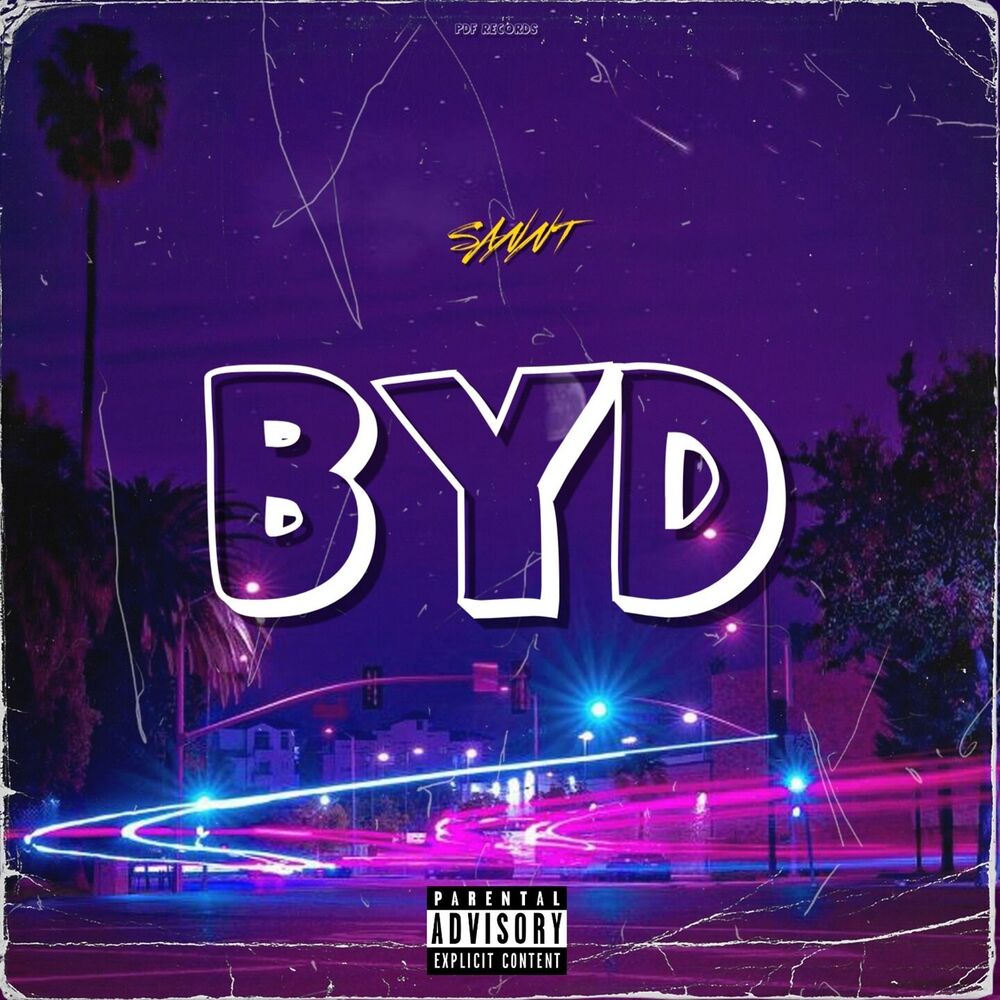 Picture of BYD