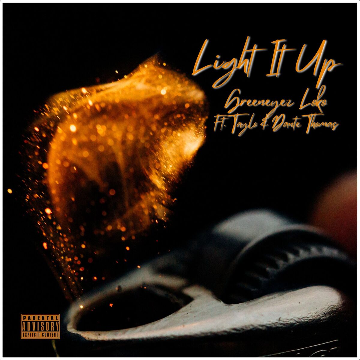 Album cover of Light It Up