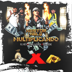 Cover of Multiplicando