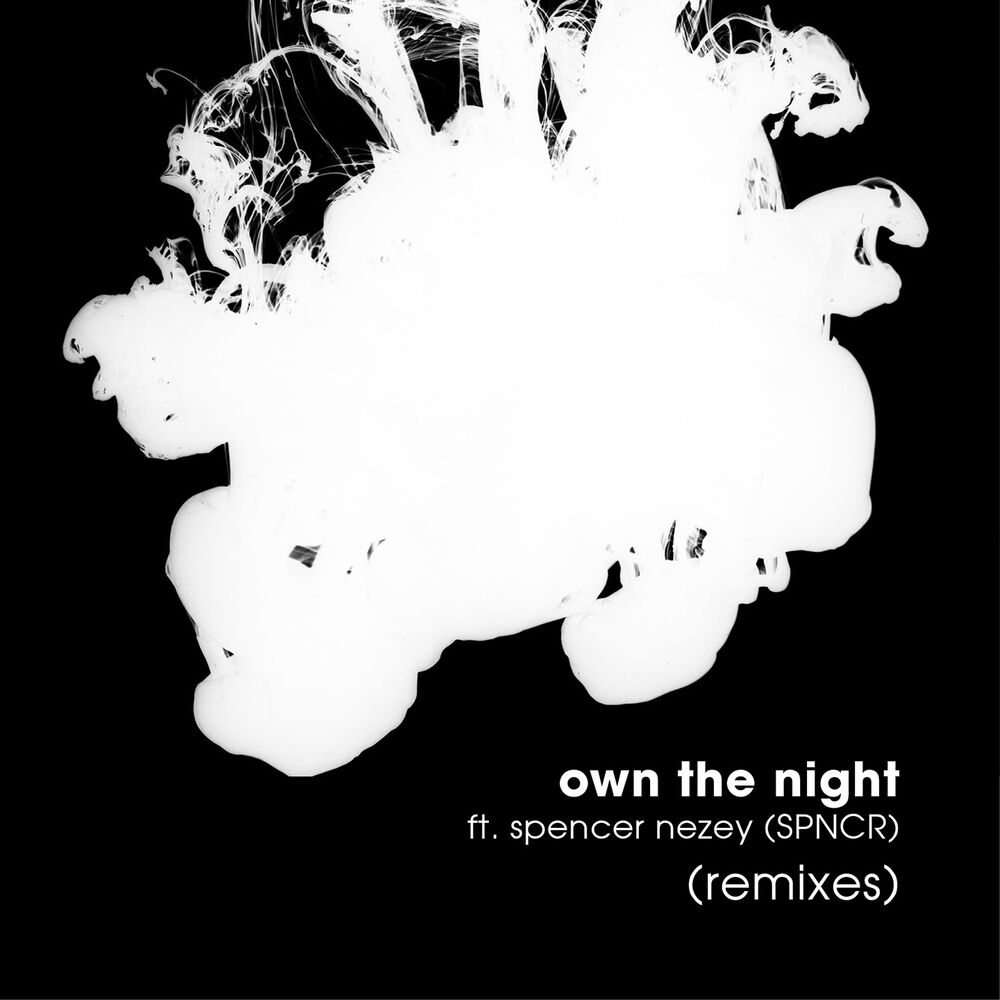 Picture of Own the Night (Remixes)