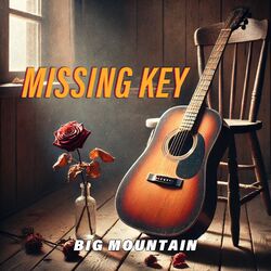 Cover of Missing Key