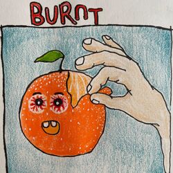 Cover of Burnt
