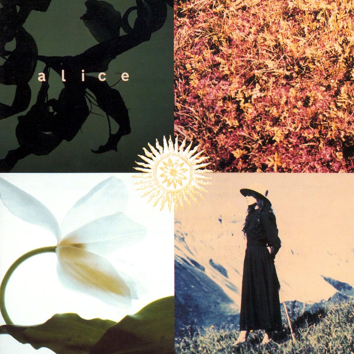 Album cover of Mezzogiorno Sulle Alpi