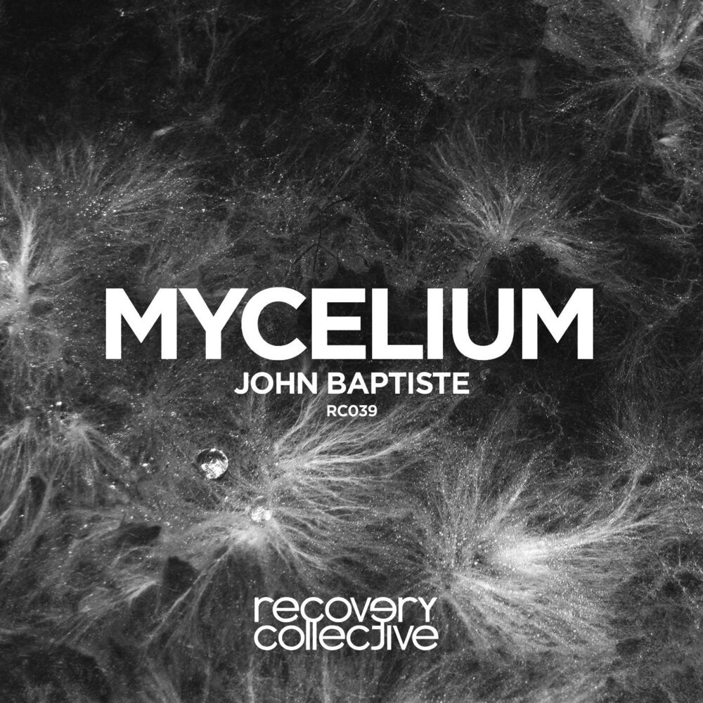Picture of Mycelium