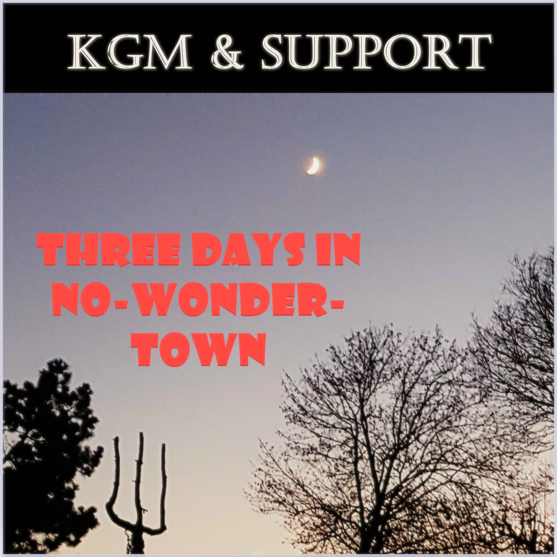 Album cover of Three Days In No-Wonder-Town