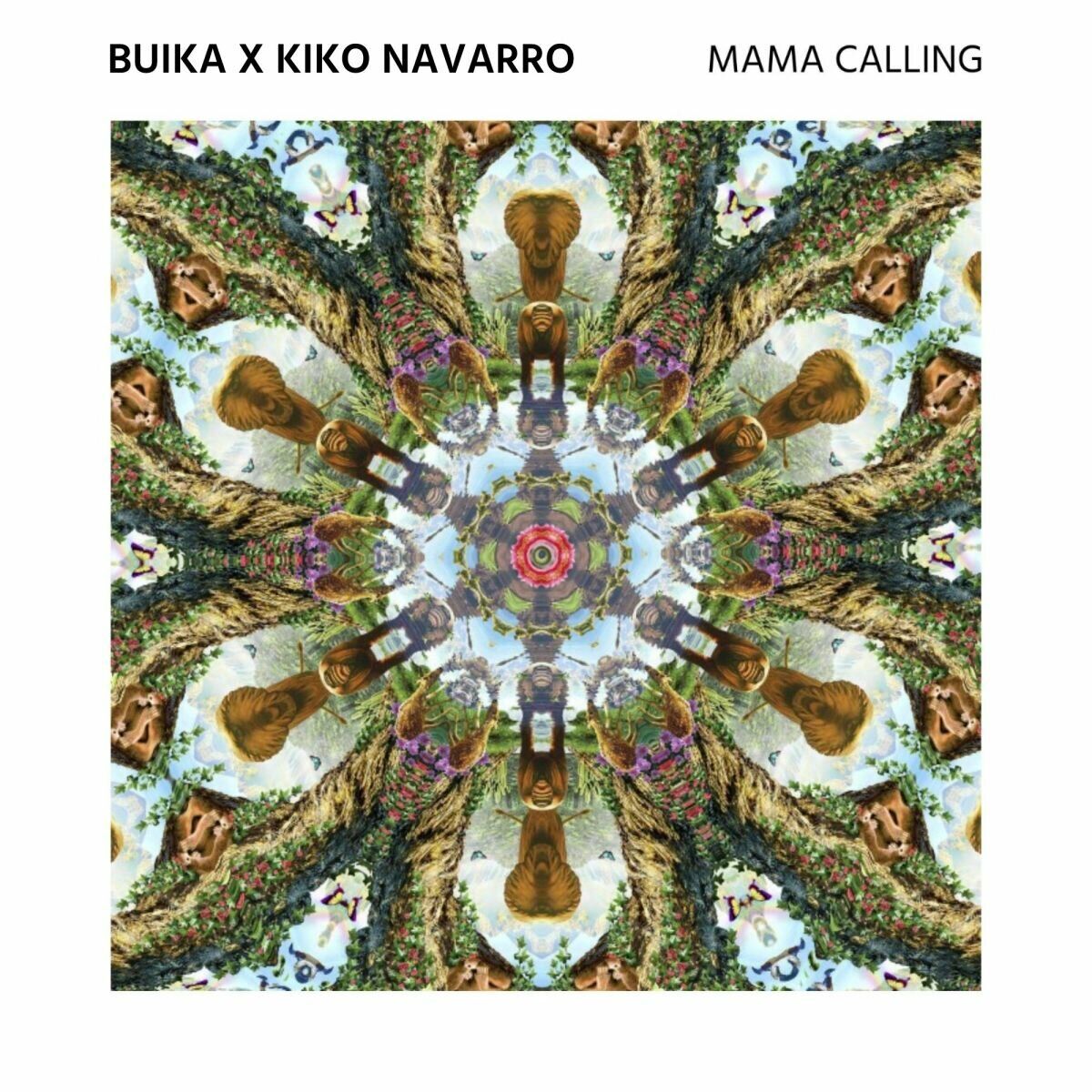 Album cover of Mama Calling