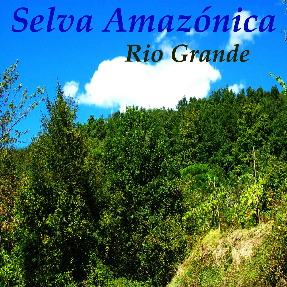 Picture of Selva Amazónica