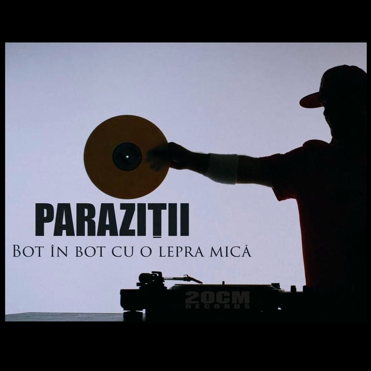 Album cover of Bot In Bot Cu O Lepra Mica