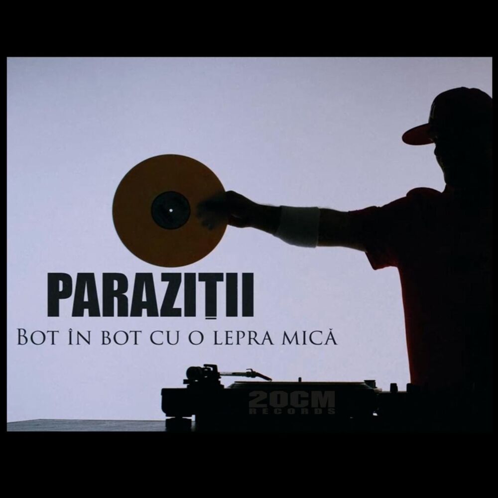 Picture of Bot In Bot Cu O Lepra Mica