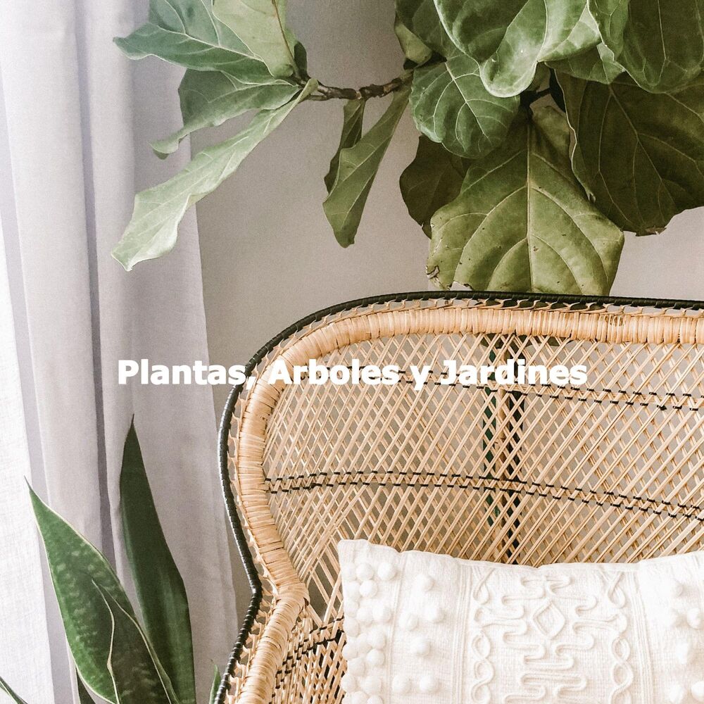 Picture of Plantas, Arboles y Jardines