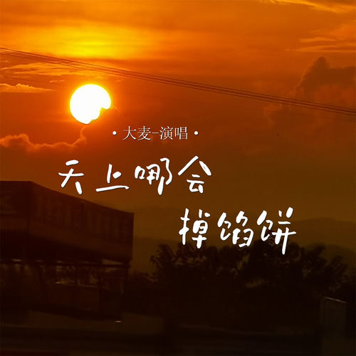 天上哪会掉馅饼 (DJ默涵版)