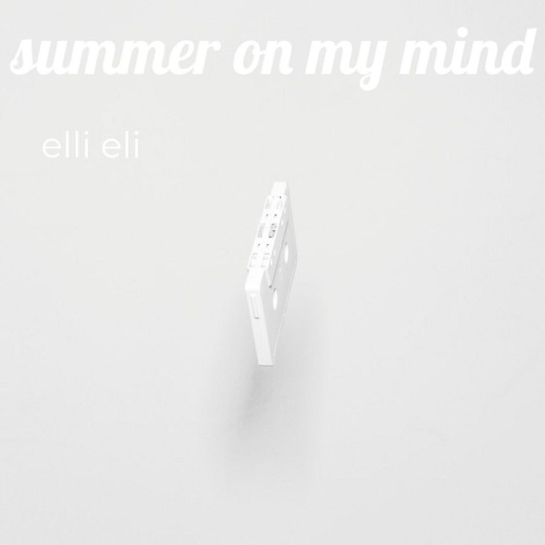 Album cover of I Got Summer On My Mind