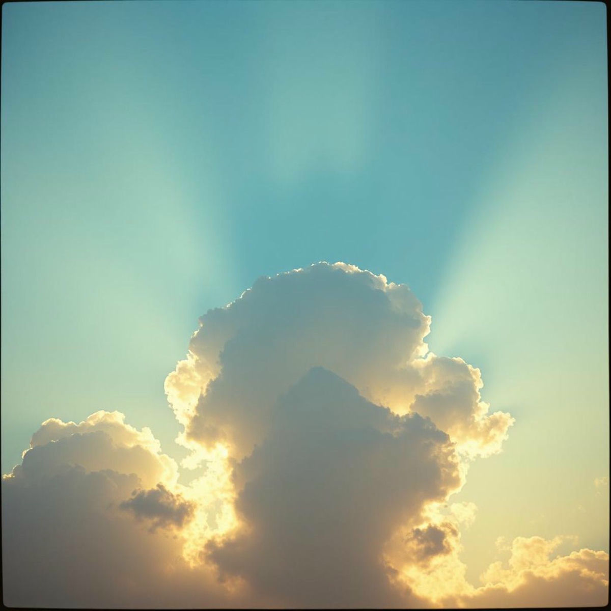 Album cover of Gozo Inagotable