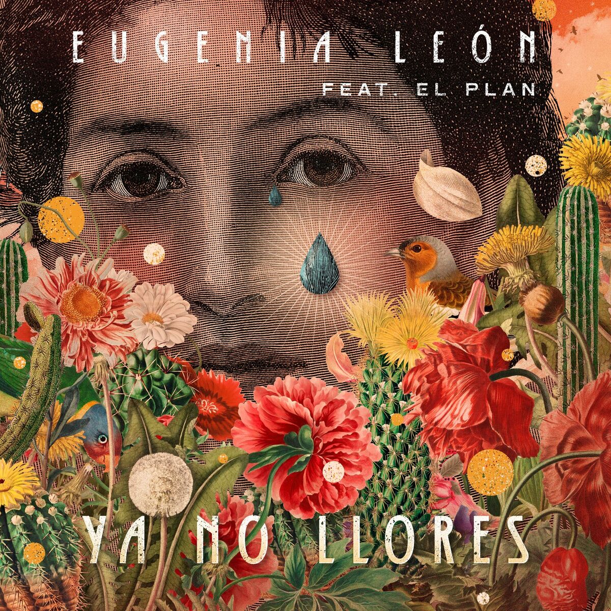 Album cover of Ya no Llores