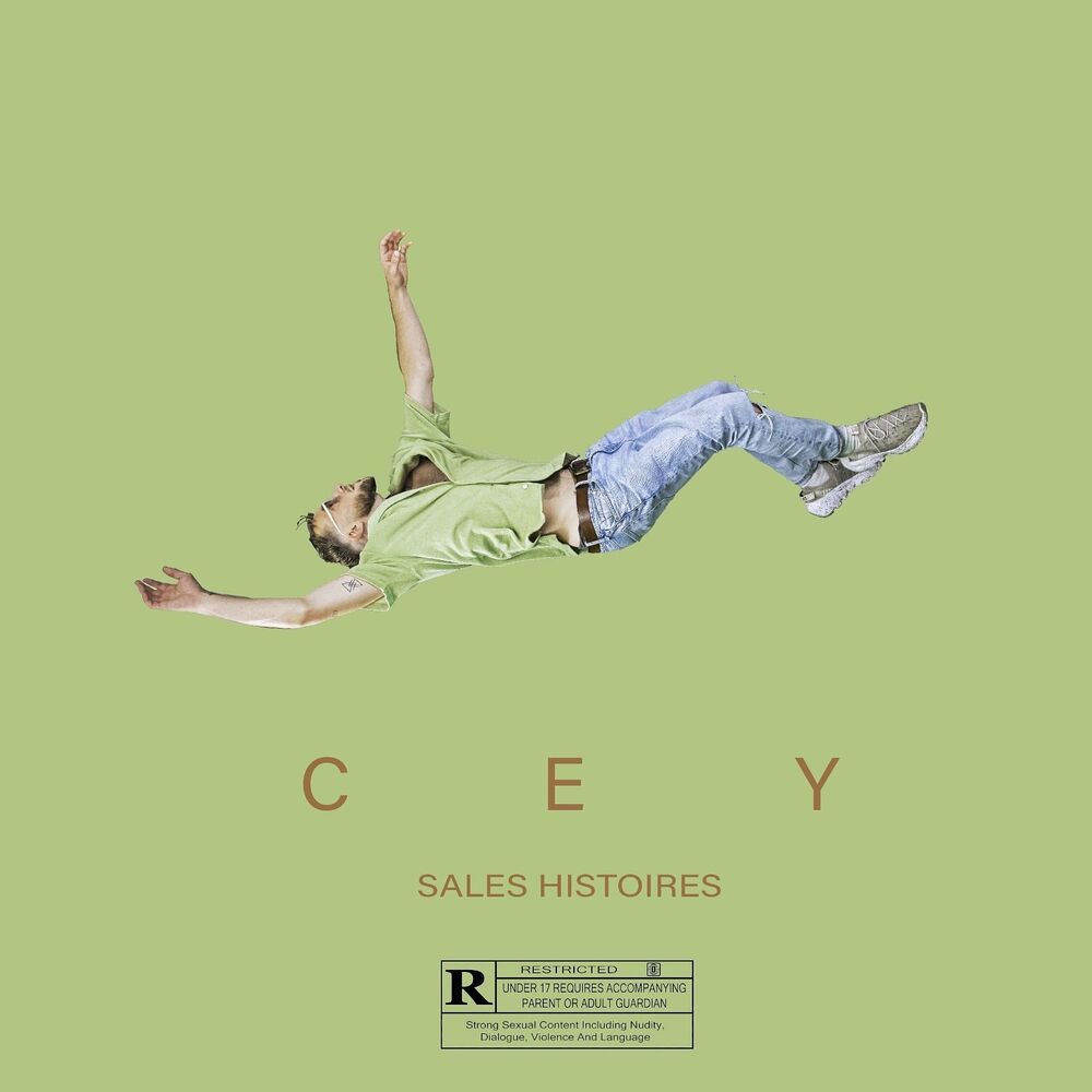 Picture of Sales Histoires
