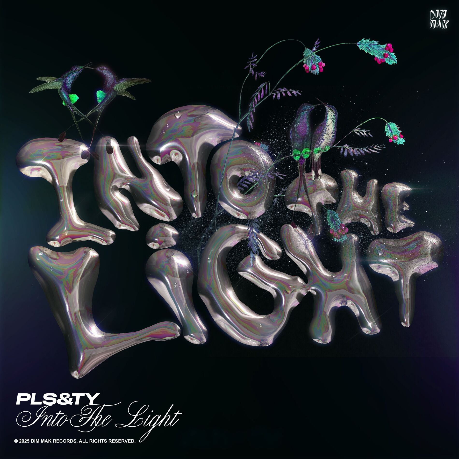 Album cover of Into The Light