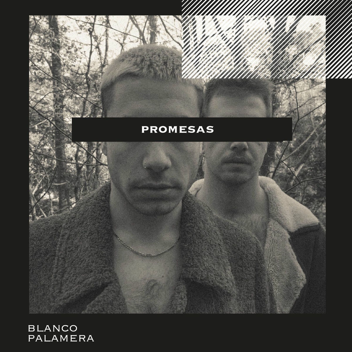 Album cover of Promesas