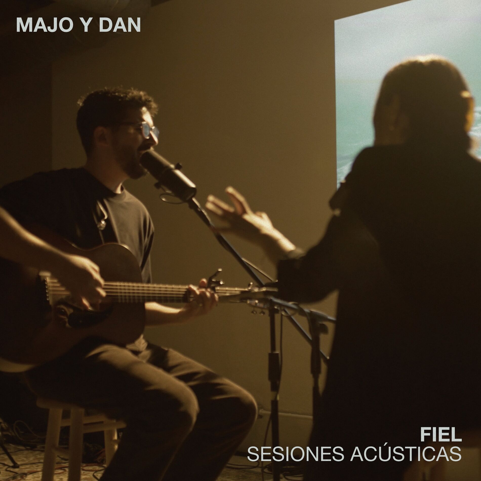 Album cover of Fiel