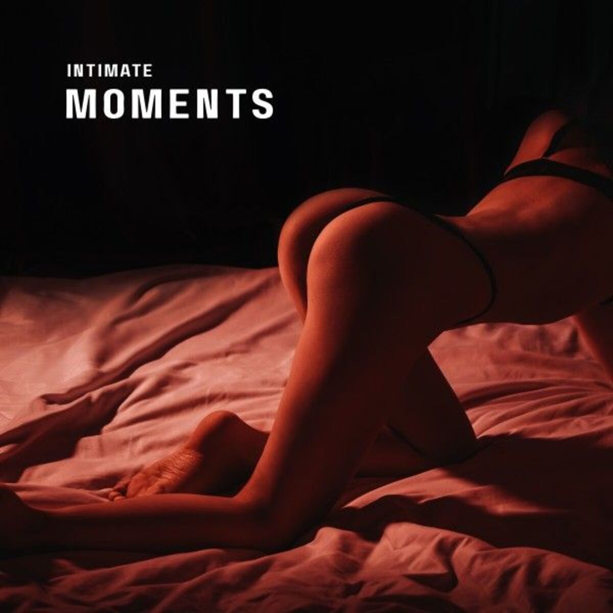 Album cover of Intimate Moments