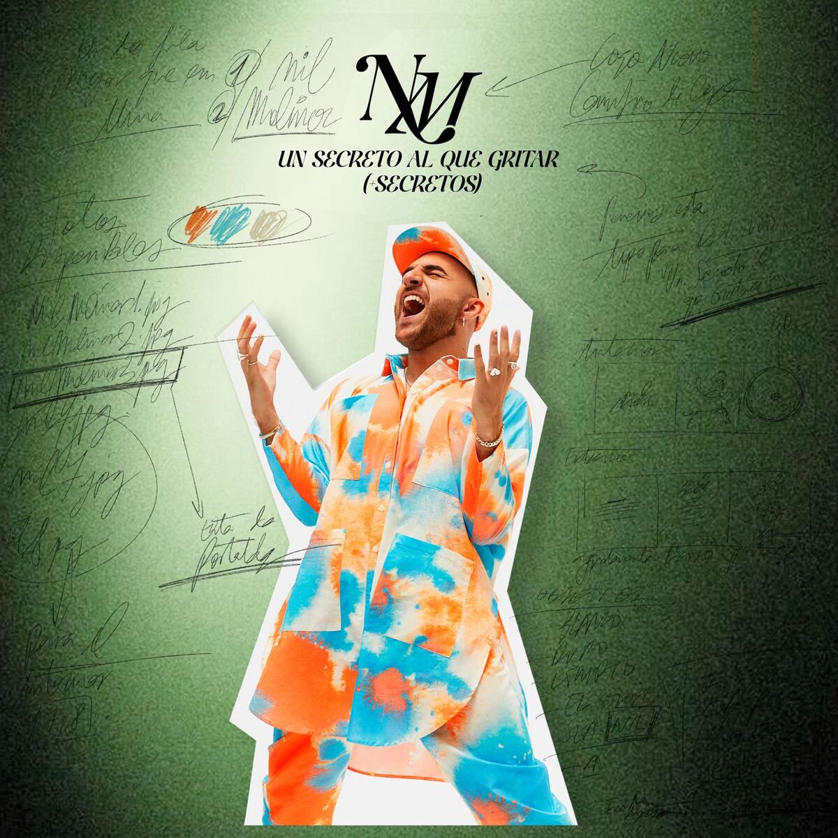 Album cover of UN SECRETO AL QUE GRITAR (+SECRETOS)